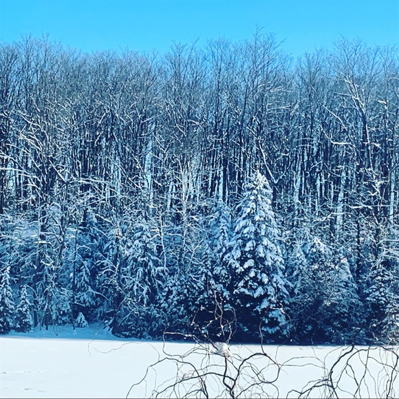 Meet your Posher, Dina - Picture 1 of 1